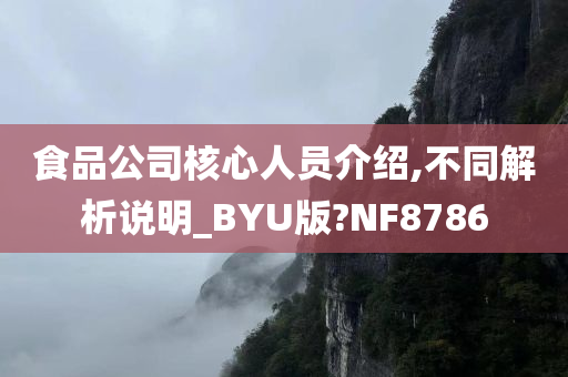 食品公司核心人员介绍,不同解析说明_BYU版?NF8786