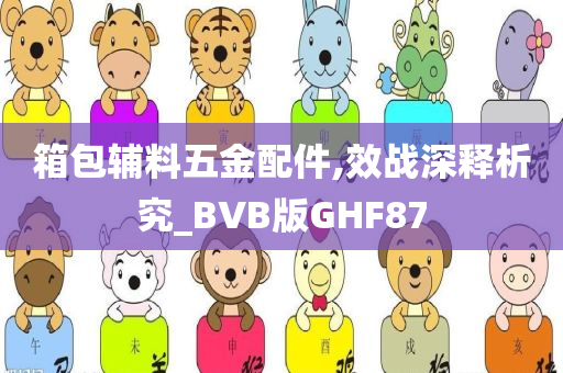 箱包辅料五金配件,效战深释析究_BVB版GHF87