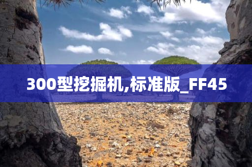 300型挖掘机,标准版_FF45