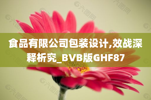 食品有限公司包装设计,效战深释析究_BVB版GHF87