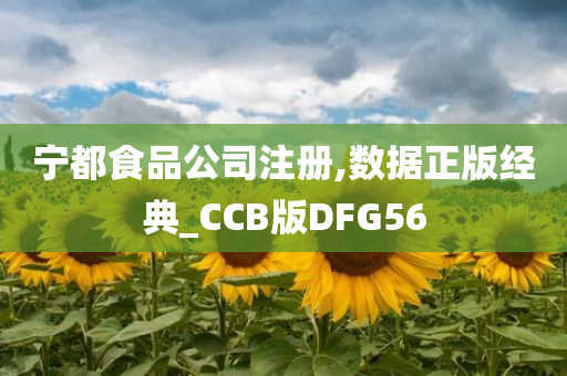 宁都食品公司注册,数据正版经典_CCB版DFG56