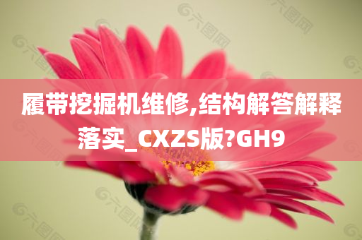 履带挖掘机维修,结构解答解释落实_CXZS版?GH9