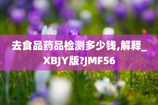 去食品药品检测多少钱,解释_XBJY版?JMF56