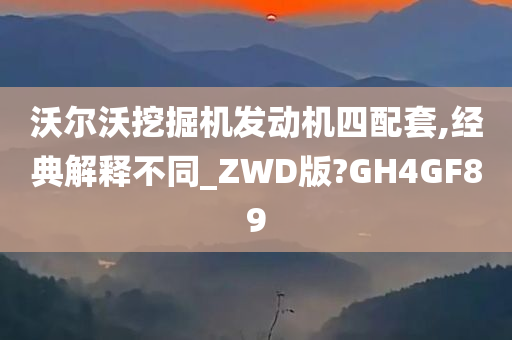 沃尔沃挖掘机发动机四配套,经典解释不同_ZWD版?GH4GF89