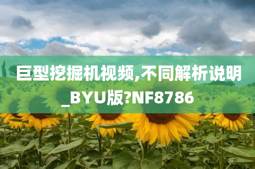 巨型挖掘机视频,不同解析说明_BYU版?NF8786