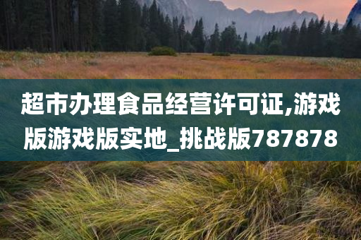 超市办理食品经营许可证,游戏版游戏版实地_挑战版787878