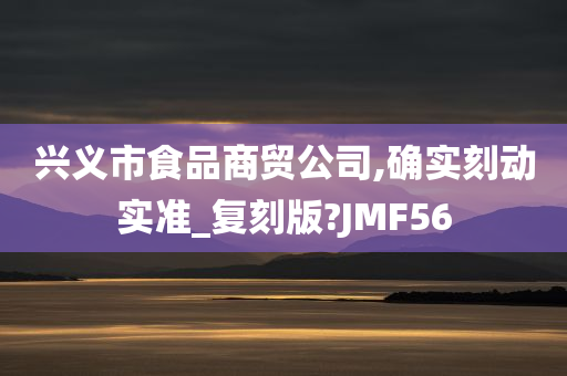 兴义市食品商贸公司,确实刻动实准_复刻版?JMF56