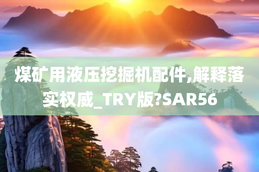 煤矿用液压挖掘机配件,解释落实权威_TRY版?SAR56