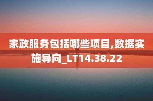 家政服务包括哪些项目,数据实施导向_LT14.38.22