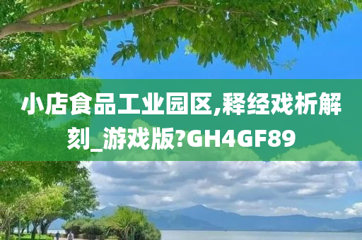 小店食品工业园区,释经戏析解刻_游戏版?GH4GF89