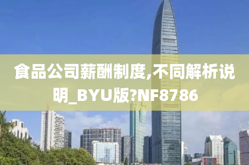 食品公司薪酬制度,不同解析说明_BYU版?NF8786