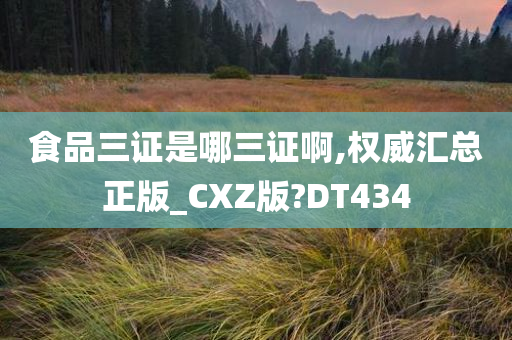 食品三证是哪三证啊,权威汇总正版_CXZ版?DT434