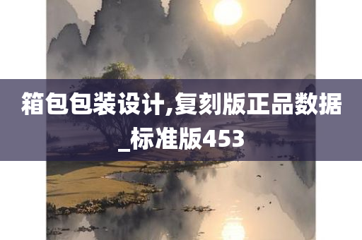 箱包包装设计,复刻版正品数据_标准版453