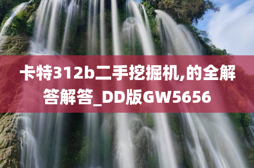 卡特312b二手挖掘机,的全解答解答_DD版GW5656