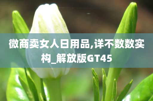 微商卖女人日用品,详不数数实构_解放版GT45