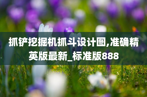 抓铲挖掘机抓斗设计图,准确精英版最新_标准版888