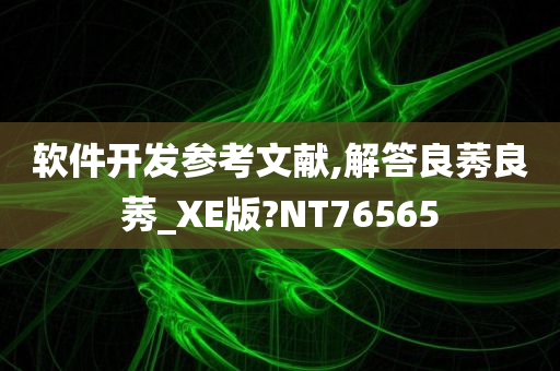 软件开发参考文献,解答良莠良莠_XE版?NT76565