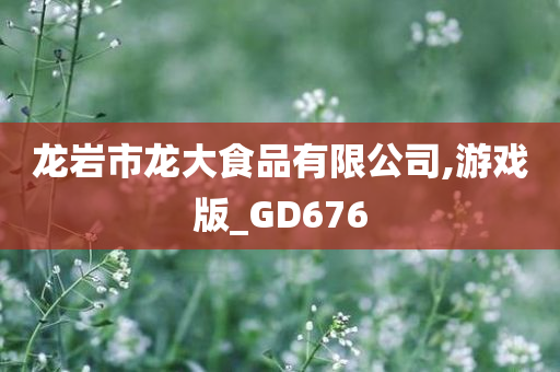 龙岩市龙大食品有限公司,游戏版_GD676