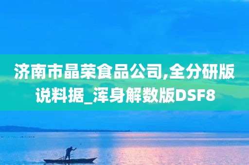 济南市晶荣食品公司,全分研版说料据_浑身解数版DSF8