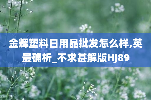 金辉塑料日用品批发怎么样,英最确析_不求甚解版HJ89