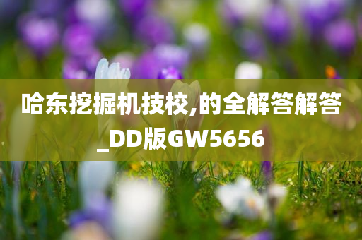 哈东挖掘机技校,的全解答解答_DD版GW5656