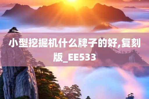 小型挖掘机什么牌子的好,复刻版_EE533