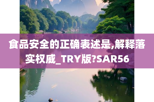 食品安全的正确表述是,解释落实权威_TRY版?SAR56