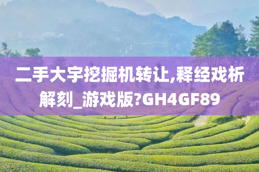 二手大宇挖掘机转让,释经戏析解刻_游戏版?GH4GF89