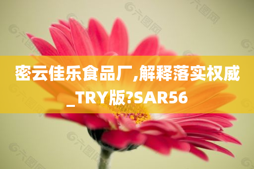 密云佳乐食品厂,解释落实权威_TRY版?SAR56