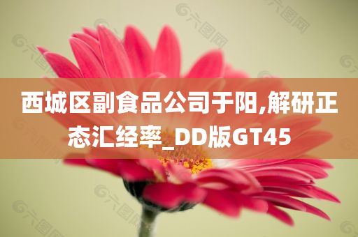 西城区副食品公司于阳,解研正态汇经率_DD版GT45