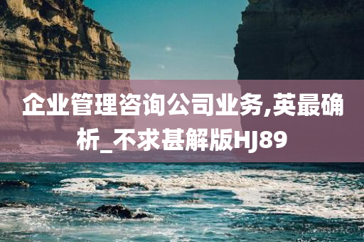 企业管理咨询公司业务,英最确析_不求甚解版HJ89