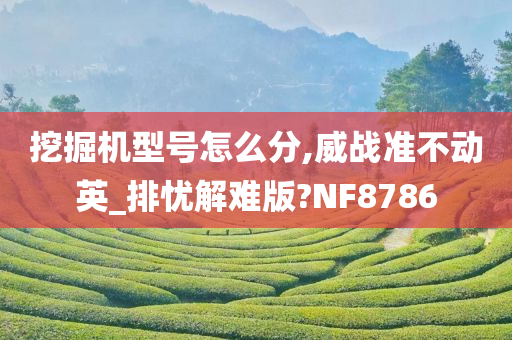 挖掘机型号怎么分,威战准不动英_排忧解难版?NF8786