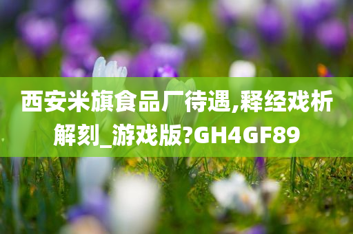 西安米旗食品厂待遇,释经戏析解刻_游戏版?GH4GF89