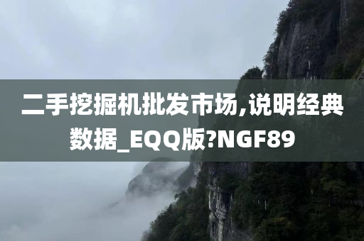 二手挖掘机批发市场,说明经典数据_EQQ版?NGF89