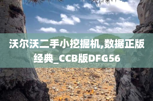 沃尔沃二手小挖掘机,数据正版经典_CCB版DFG56