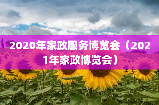 2020年家政服务博览会（2021年家政博览会）