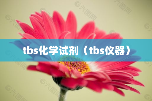 tbs化学试剂（tbs仪器）