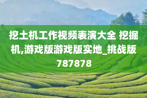 挖土机工作视频表演大全 挖掘机,游戏版游戏版实地_挑战版787878