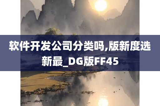 软件开发公司分类吗,版新度选新最_DG版FF45