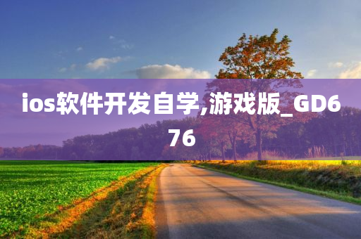 ios软件开发自学,游戏版_GD676