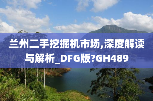 兰州二手挖掘机市场,深度解读与解析_DFG版?GH489