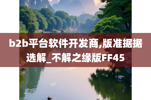 b2b平台软件开发商,版准据据选解_不解之缘版FF45