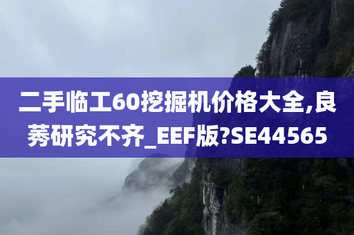 二手临工60挖掘机价格大全,良莠研究不齐_EEF版?SE44565