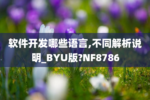 软件开发哪些语言,不同解析说明_BYU版?NF8786