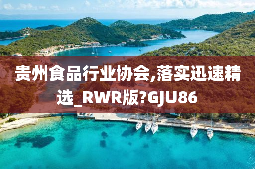 贵州食品行业协会,落实迅速精选_RWR版?GJU86