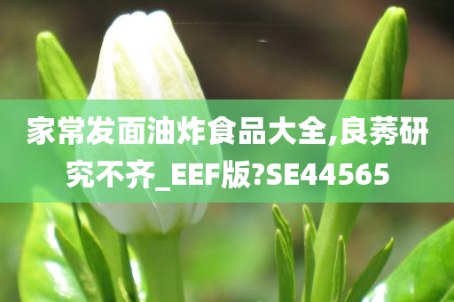 家常发面油炸食品大全,良莠研究不齐_EEF版?SE44565