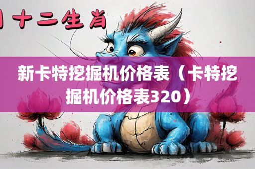 新卡特挖掘机价格表（卡特挖掘机价格表320）