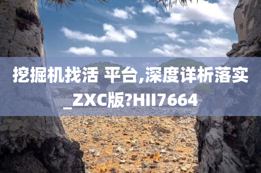 挖掘机找活 平台,深度详析落实_ZXC版?HII7664