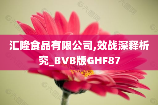 汇隆食品有限公司,效战深释析究_BVB版GHF87