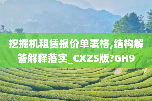 挖掘机租赁报价单表格,结构解答解释落实_CXZS版?GH9